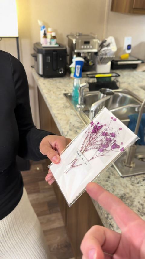 Thumbnail do vídeo: Pressed flower cards